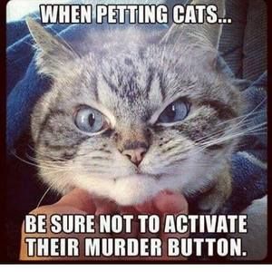 Meet your Posher, Harry